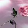 Avatare cool! - angelinthenight - Avatare!