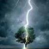 Avatare cool! - angelinthenight - Avatare!