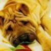 cool!  :zzz: avatare cool!